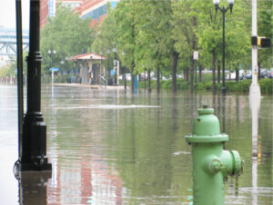 New Jersey Future Statement on Passage of the Clean Stormwater, Flood Reduction Act