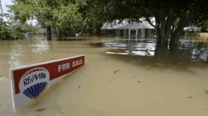 Planning for Sea-Level Rise VII: Disclosure