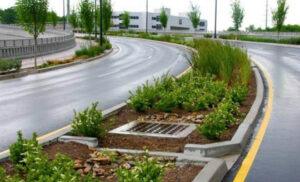 Forum Roundup: The Triple-Bottom-Line Beauty of Green Infrastructure
