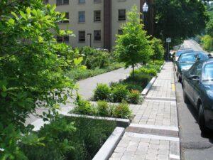 Getting New Jersey Ready To Welcome Green Infrastructure