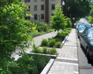At Convention, Builders Take Interest in Green Infrastructure