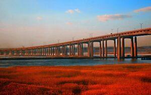 Meadowlands ‘Cleanup Bill’ Needs Cleaning Up