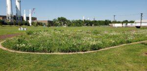 New Report Highlights Green Infrastructure Financing Opportunities