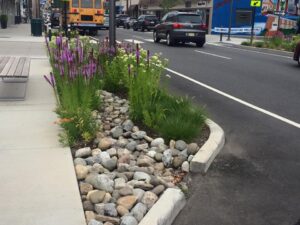 New Jersey Municipalities Share Green Infrastructure Planning Progress
