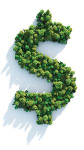 Forum Roundup: Green Bonds: Financing our Future