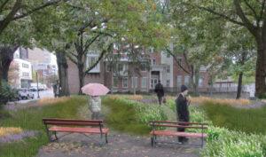 Study Highlights Opportunities for Green Infrastructure in Trenton